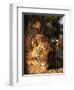 Indo Chinese Tiger Cub, Panthera Tigris Corbetti, Tiger Sanctuary for Confiscated Animals, Thailand-Lousie Murray-Framed Photographic Print