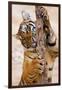 Indochinese Tiger or Corbett's Tiger, Thailand-Peter Adams-Framed Photographic Print