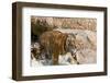 Indochinese Tiger or Corbett's Tiger, Thailand-Peter Adams-Framed Photographic Print