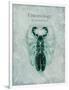 Indomitable Insect-Albert Koetsier-Framed Art Print