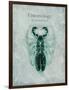 Indomitable Insect-Albert Koetsier-Framed Art Print