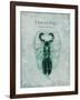 Indomitable Insect-Albert Koetsier-Framed Art Print