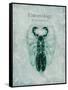 Indomitable Insect-Albert Koetsier-Framed Stretched Canvas