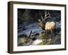 Indomitable-Trevor V. Swanson-Framed Giclee Print