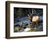 Indomitable-Trevor V. Swanson-Framed Giclee Print