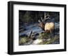 Indomitable-Trevor V. Swanson-Framed Giclee Print