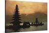 Indonesia, Bali, Bedugul Highland, Tall Pagoda at Dawn-David Herbig-Stretched Canvas