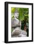 Indonesia, Bali. Buddha statue with green palms.-Cindy Miller Hopkins-Framed Photographic Print