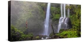 Indonesia, Bali, Central Mountains, Sekumpul Waterfall-Michele Falzone-Stretched Canvas