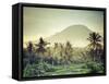 Indonesia, Bali, East Bali, Amlapura, Rice Fields and Gunung Agung Volcano-Michele Falzone-Framed Stretched Canvas