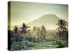 Indonesia, Bali, East Bali, Amlapura, Rice Fields and Gunung Agung Volcano-Michele Falzone-Stretched Canvas