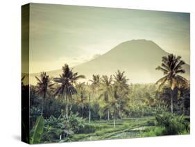 Indonesia, Bali, East Bali, Amlapura, Rice Fields and Gunung Agung Volcano-Michele Falzone-Stretched Canvas