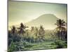 Indonesia, Bali, East Bali, Amlapura, Rice Fields and Gunung Agung Volcano-Michele Falzone-Mounted Premium Photographic Print