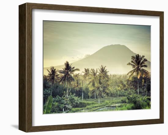 Indonesia, Bali, East Bali, Amlapura, Rice Fields and Gunung Agung Volcano-Michele Falzone-Framed Photographic Print