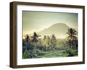 Indonesia, Bali, East Bali, Amlapura, Rice Fields and Gunung Agung Volcano-Michele Falzone-Framed Photographic Print