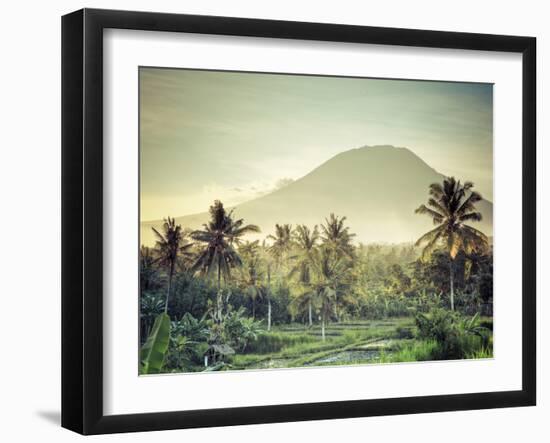 Indonesia, Bali, East Bali, Amlapura, Rice Fields and Gunung Agung Volcano-Michele Falzone-Framed Photographic Print
