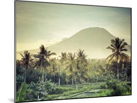 Indonesia, Bali, East Bali, Amlapura, Rice Fields and Gunung Agung Volcano-Michele Falzone-Mounted Photographic Print