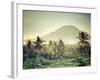 Indonesia, Bali, East Bali, Amlapura, Rice Fields and Gunung Agung Volcano-Michele Falzone-Framed Photographic Print