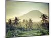 Indonesia, Bali, East Bali, Amlapura, Rice Fields and Gunung Agung Volcano-Michele Falzone-Mounted Photographic Print