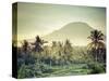 Indonesia, Bali, East Bali, Amlapura, Rice Fields and Gunung Agung Volcano-Michele Falzone-Stretched Canvas