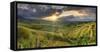 Indonesia, Bali, Jatiluwih Rice Terraces-Michele Falzone-Framed Stretched Canvas