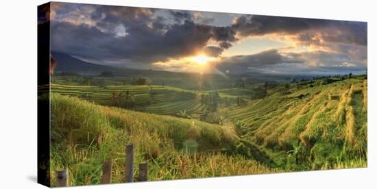 Indonesia, Bali, Jatiluwih Rice Terraces-Michele Falzone-Stretched Canvas