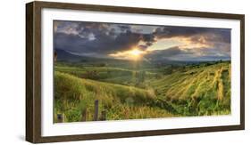 Indonesia, Bali, Jatiluwih Rice Terraces-Michele Falzone-Framed Photographic Print