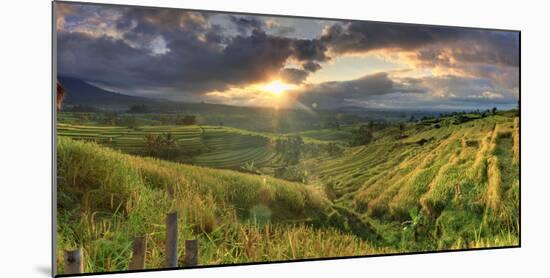 Indonesia, Bali, Jatiluwih Rice Terraces-Michele Falzone-Mounted Photographic Print