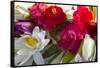 Indonesia, Bali. Outdoor Flower Market-Emily Wilson-Framed Stretched Canvas