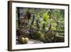 Indonesia, Bali. Overlooking the Subak Rice Paddies of Bali Island-Emily Wilson-Framed Photographic Print