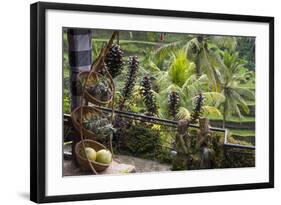 Indonesia, Bali. Overlooking the Subak Rice Paddies of Bali Island-Emily Wilson-Framed Photographic Print