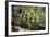 Indonesia, Bali. Overlooking the Subak Rice Paddies of Bali Island-Emily Wilson-Framed Photographic Print