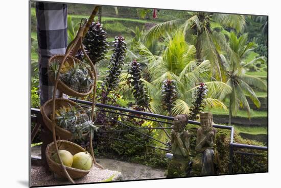 Indonesia, Bali. Overlooking the Subak Rice Paddies of Bali Island-Emily Wilson-Mounted Photographic Print