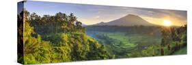 Indonesia, Bali, Redang, View of Rice Terraces and Gunung Agung Volcano-Michele Falzone-Stretched Canvas