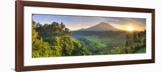 Indonesia, Bali, Redang, View of Rice Terraces and Gunung Agung Volcano-Michele Falzone-Framed Photographic Print