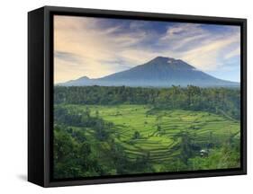 Indonesia, Bali, Redang, View of Rice Terraces and Gunung Agung Volcano-Michele Falzone-Framed Stretched Canvas