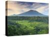 Indonesia, Bali, Redang, View of Rice Terraces and Gunung Agung Volcano-Michele Falzone-Stretched Canvas