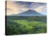 Indonesia, Bali, Redang, View of Rice Terraces and Gunung Agung Volcano-Michele Falzone-Stretched Canvas