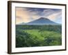 Indonesia, Bali, Redang, View of Rice Terraces and Gunung Agung Volcano-Michele Falzone-Framed Photographic Print