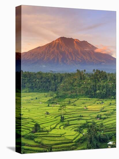 Indonesia, Bali, Redang, View of Rice Terraces and Gunung Agung Volcano-Michele Falzone-Stretched Canvas