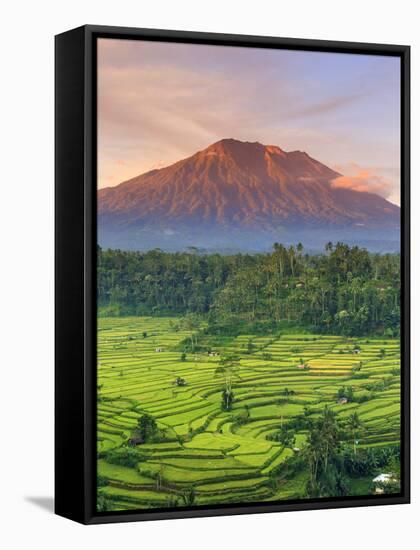 Indonesia, Bali, Redang, View of Rice Terraces and Gunung Agung Volcano-Michele Falzone-Framed Stretched Canvas