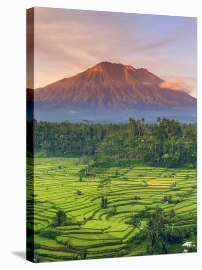 Indonesia, Bali, Redang, View of Rice Terraces and Gunung Agung Volcano-Michele Falzone-Stretched Canvas