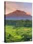 Indonesia, Bali, Redang, View of Rice Terraces and Gunung Agung Volcano-Michele Falzone-Stretched Canvas