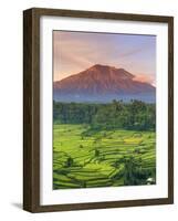 Indonesia, Bali, Redang, View of Rice Terraces and Gunung Agung Volcano-Michele Falzone-Framed Photographic Print