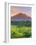 Indonesia, Bali, Redang, View of Rice Terraces and Gunung Agung Volcano-Michele Falzone-Framed Photographic Print