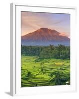 Indonesia, Bali, Redang, View of Rice Terraces and Gunung Agung Volcano-Michele Falzone-Framed Photographic Print