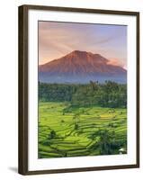 Indonesia, Bali, Redang, View of Rice Terraces and Gunung Agung Volcano-Michele Falzone-Framed Photographic Print