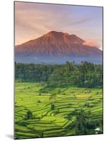 Indonesia, Bali, Redang, View of Rice Terraces and Gunung Agung Volcano-Michele Falzone-Mounted Photographic Print