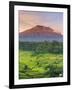 Indonesia, Bali, Redang, View of Rice Terraces and Gunung Agung Volcano-Michele Falzone-Framed Photographic Print