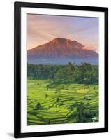 Indonesia, Bali, Redang, View of Rice Terraces and Gunung Agung Volcano-Michele Falzone-Framed Photographic Print